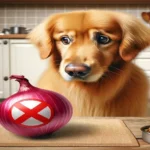 Can Dogs Eat Onions? A Comprehensive Guide to Onion Toxicity in Dogs