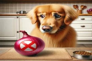 Can Dogs Eat Onions? A Comprehensive Guide to Onion Toxicity in Dogs